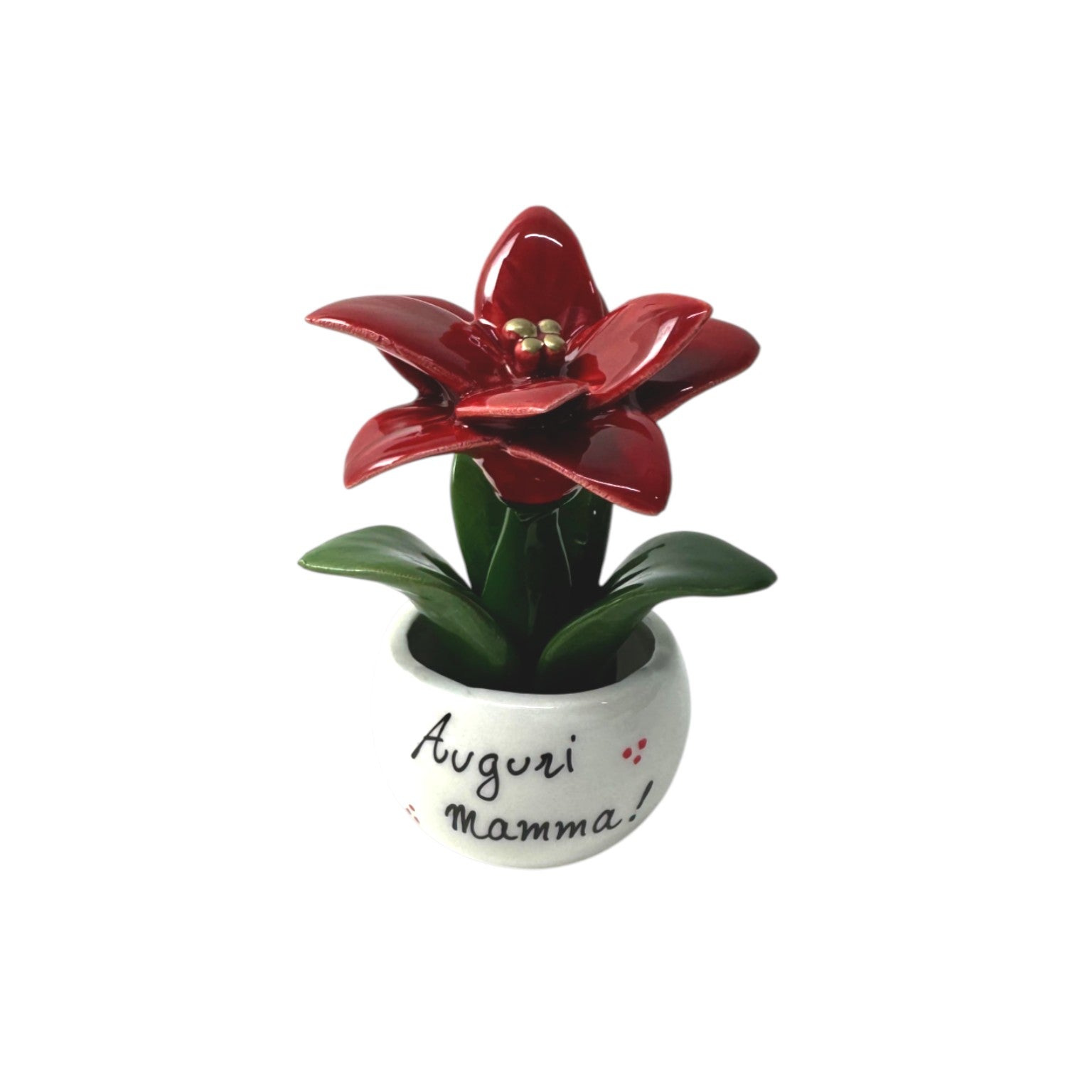 Piantina Stella di Natale Personalizzata - Siniscalchi Ceramics