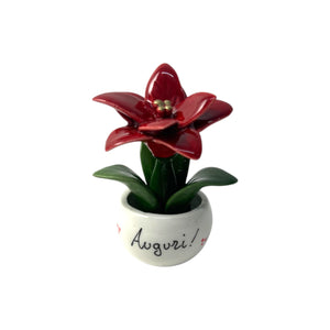 Piantina Stella di Natale Personalizzata - Siniscalchi Ceramics