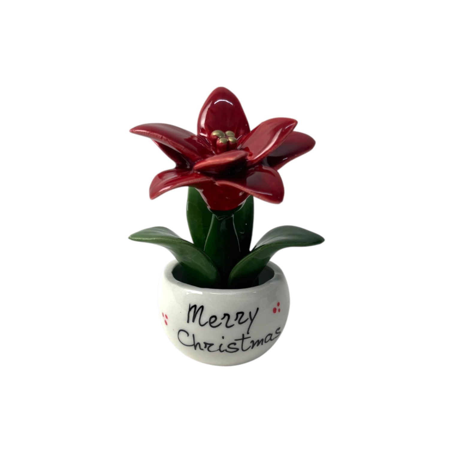 Piantina Stella di Natale Personalizzata - Siniscalchi Ceramics