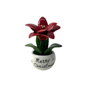 Piantina Stella di Natale Personalizzata - Siniscalchi Ceramics