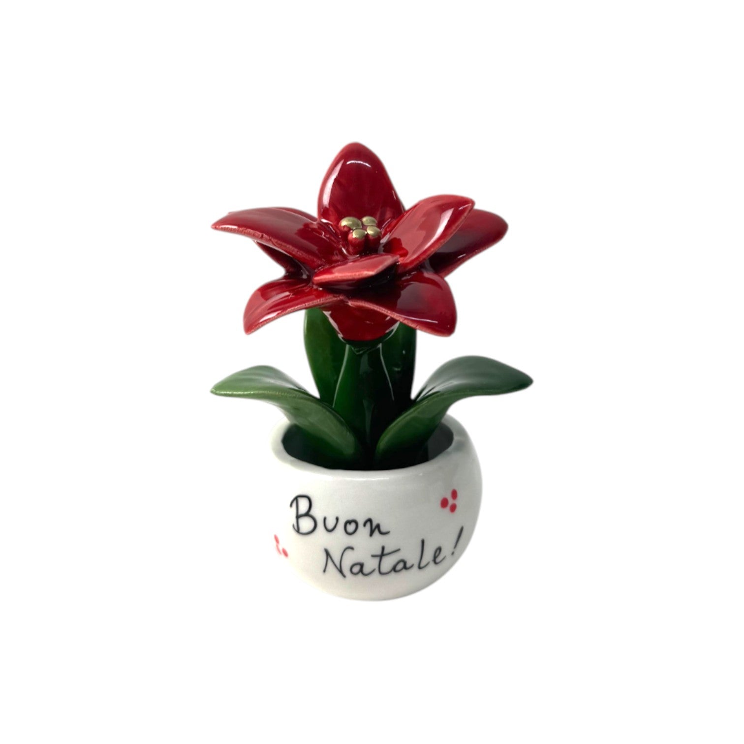 Piantina Stella di Natale Personalizzata - Siniscalchi Ceramics