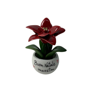 Piantina Stella di Natale Personalizzata - Siniscalchi Ceramics