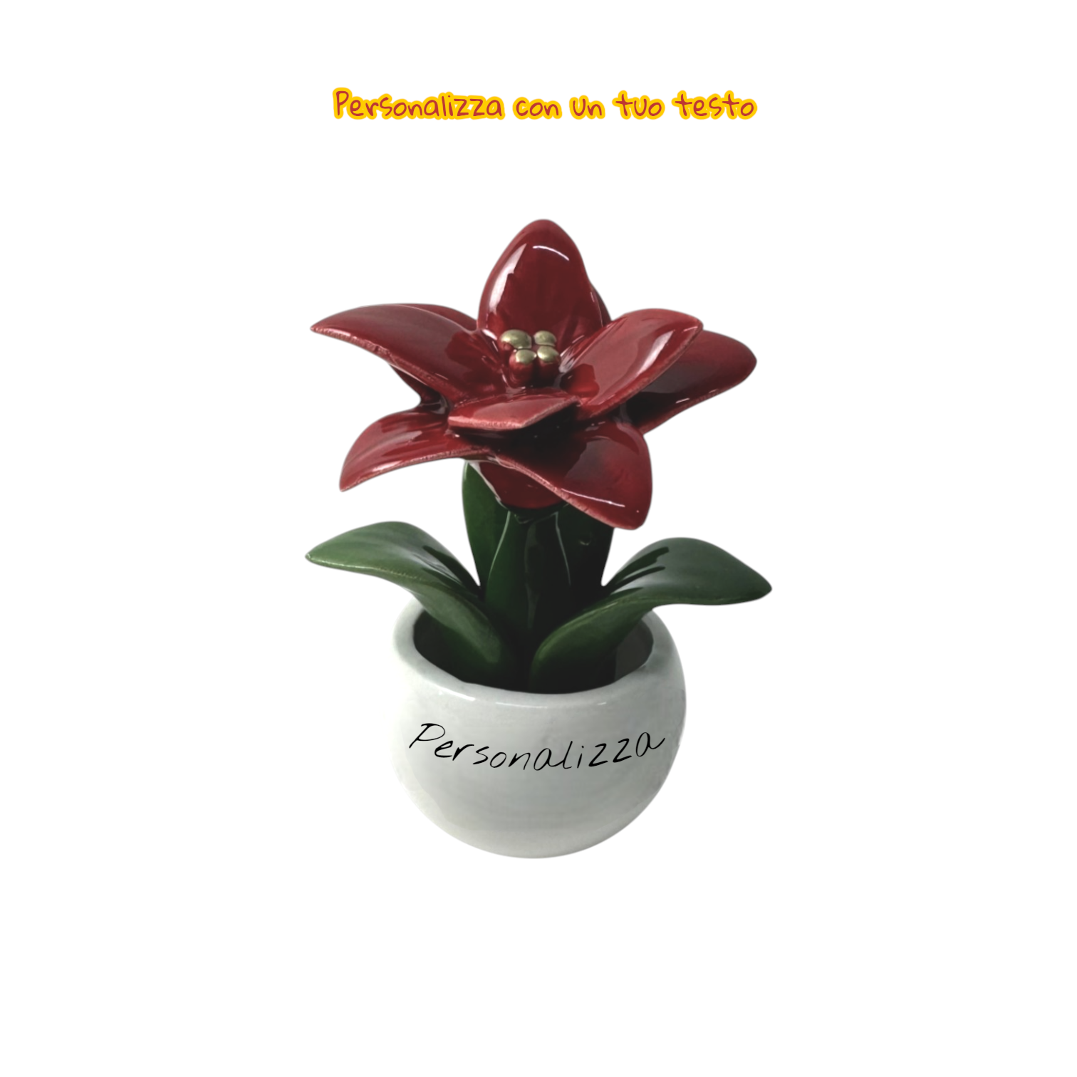 Piantina Stella di Natale Personalizzata - Siniscalchi Ceramics