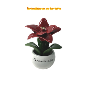 Piantina Stella di Natale Personalizzata - Siniscalchi Ceramics
