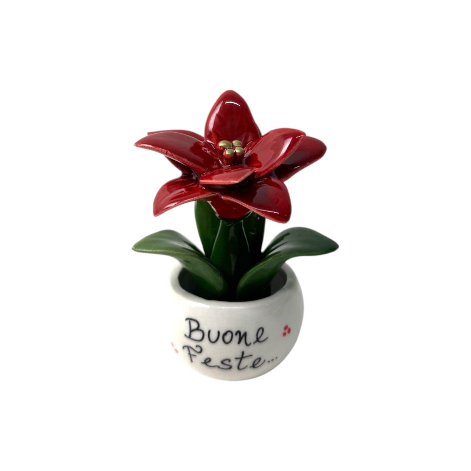 Piantina Stella di Natale Personalizzata - Siniscalchi Ceramics