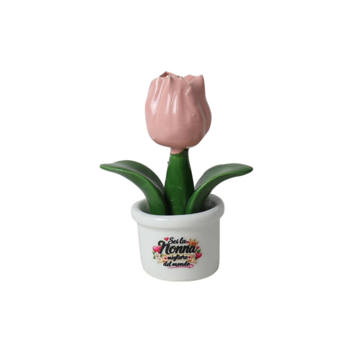 Piantina Tulipano per la Nonna