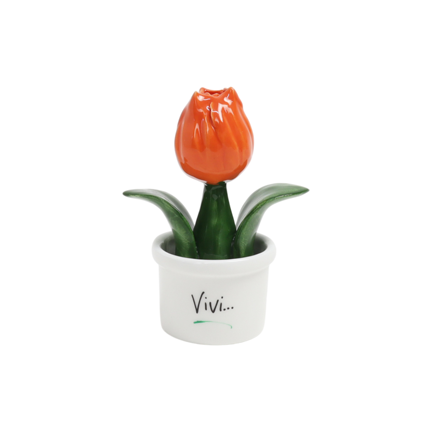Piantina Tulipano Bomboniera