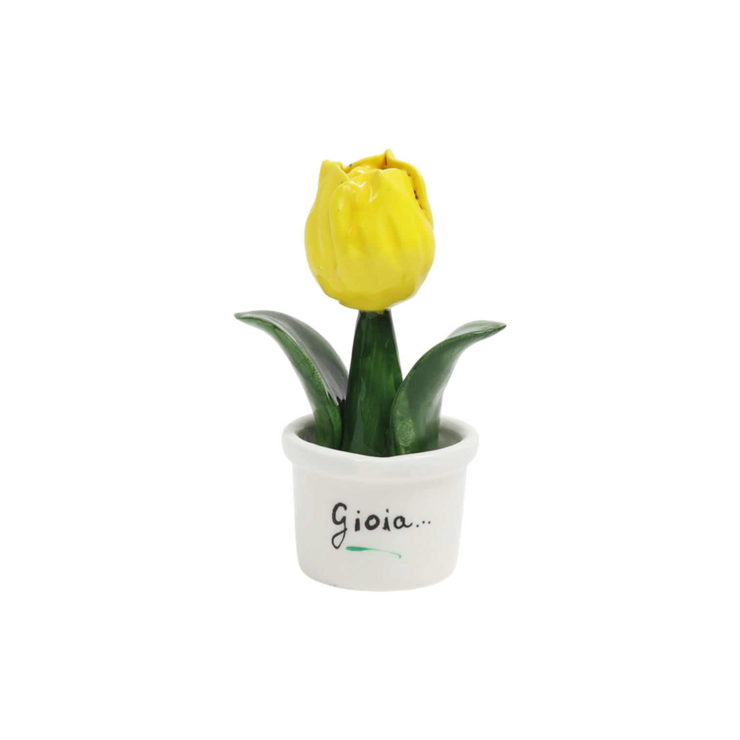 Piantina Tulipano Bomboniera