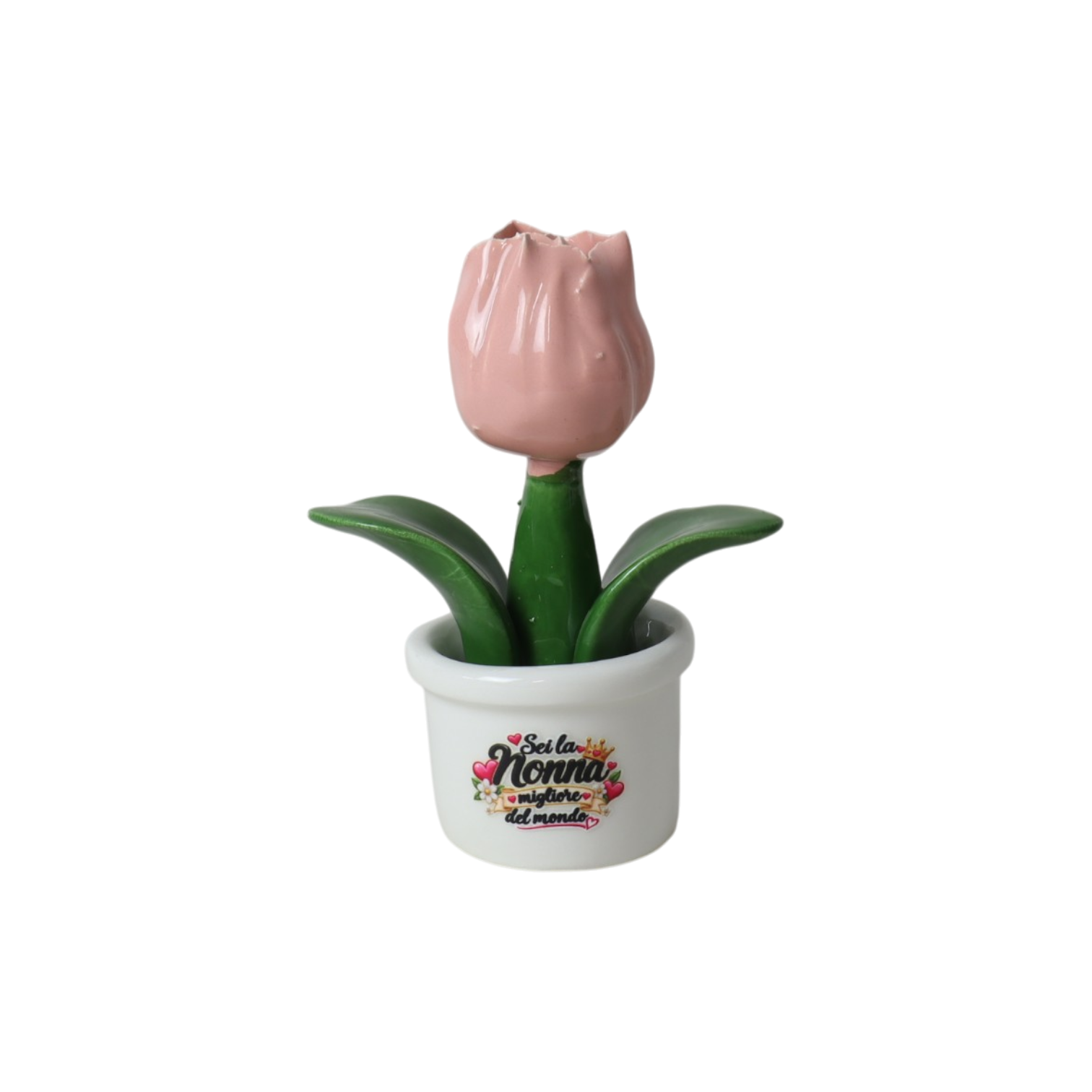 Piantina Tulipano per la Nonna