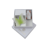 Farfalla Magnete Bomboniera