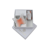 Farfalla Magnete Bomboniera