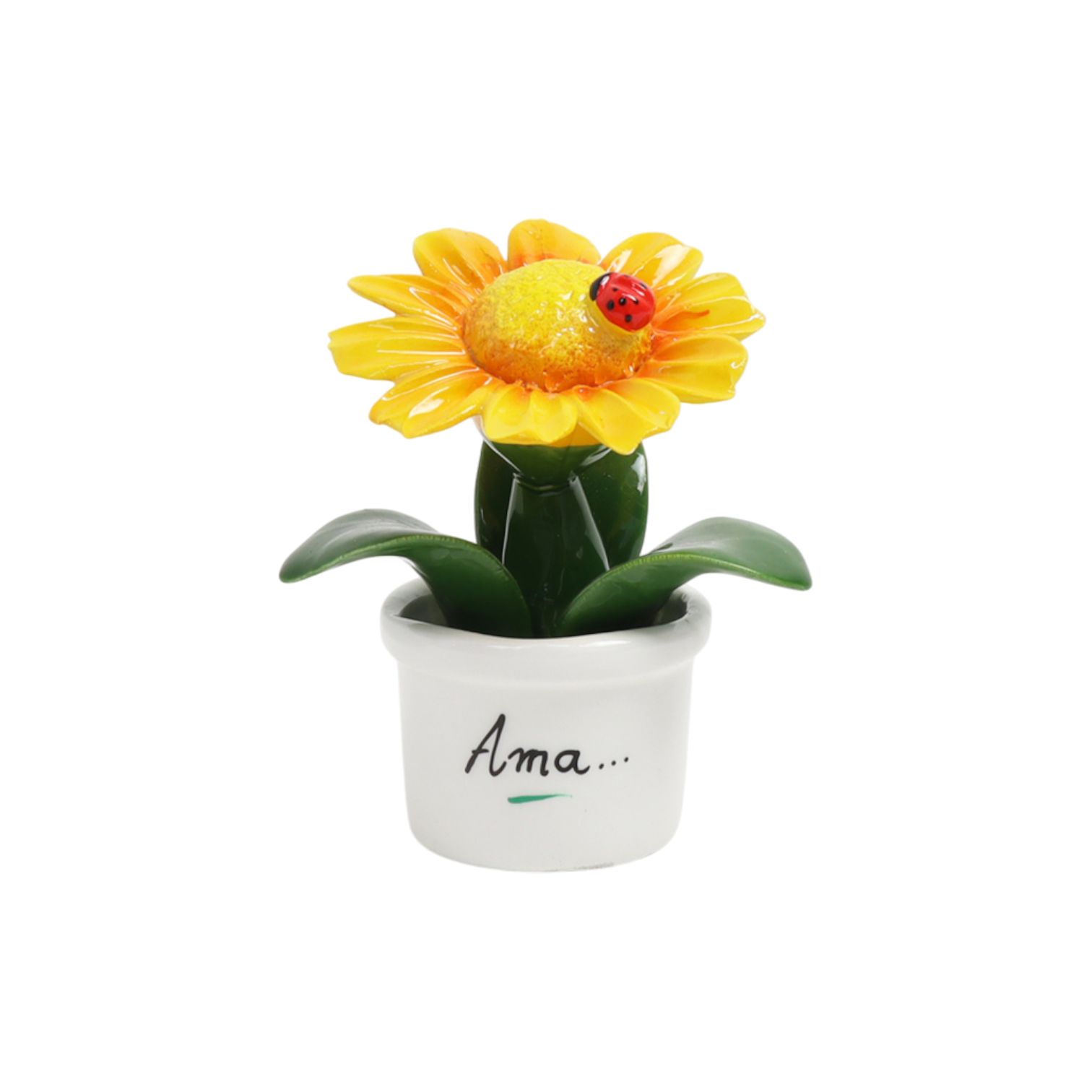 Piantina Margherita Bomboniera