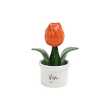 Piantina Tulipano Bomboniera