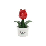 Piantina Tulipano Bomboniera